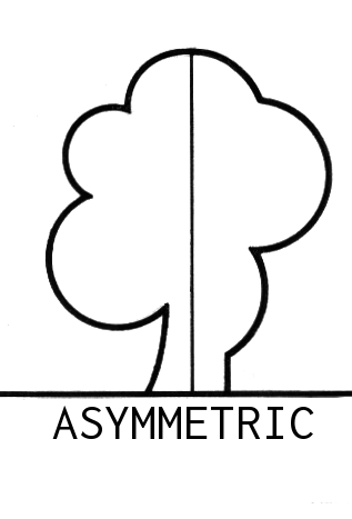 asymmetry